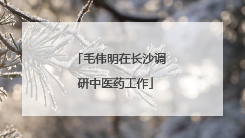 毛伟明在长沙调研中医药工作