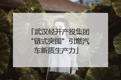 武汉经开产投集团“链式突围”引燃汽车新质生产力