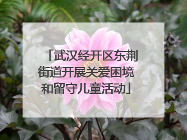 武汉经开区东荆街道开展关爱困境和留守儿童活动