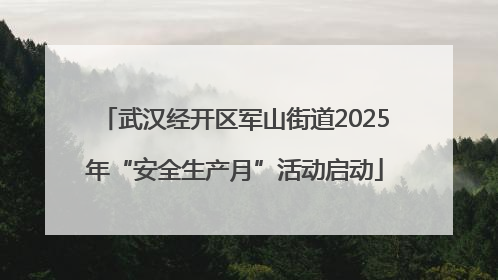 武汉经开区军山街道2025年“安全生产月”活动启动