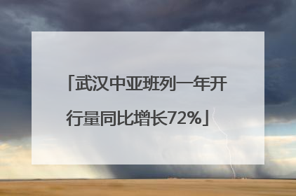 武汉中亚班列一年开行量同比增长72%