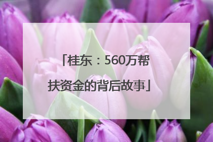 桂东：560万帮扶资金的背后故事