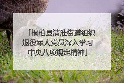 桐柏县清淮街道组织退役军人党员深入学习中央八项规定精神