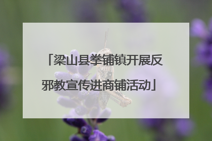 梁山县拳铺镇开展反邪教宣传进商铺活动