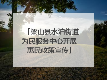梁山县水泊街道为民服务中心开展惠民政策宣传
