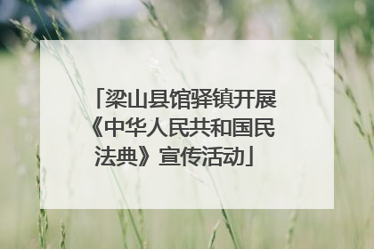 梁山县馆驿镇开展《中华人民共和国民法典》宣传活动