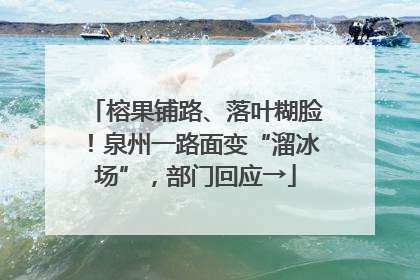 榕果铺路、落叶糊脸！泉州一路面变“溜冰场”，部门回应→