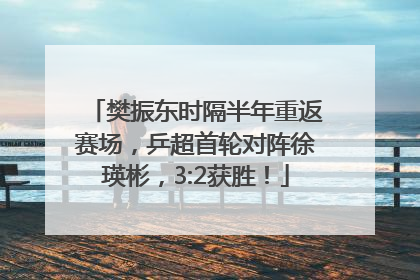 樊振东时隔半年重返赛场，乒超首轮对阵徐瑛彬，3:2获胜！