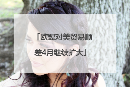 欧盟对美贸易顺差4月继续扩大