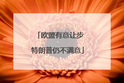 欧盟有意让步 特朗普仍不满意