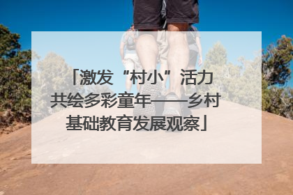 激发“村小”活力 共绘多彩童年——乡村基础教育发展观察