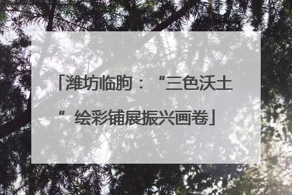 潍坊临朐：“三色沃土”绘彩铺展振兴画卷