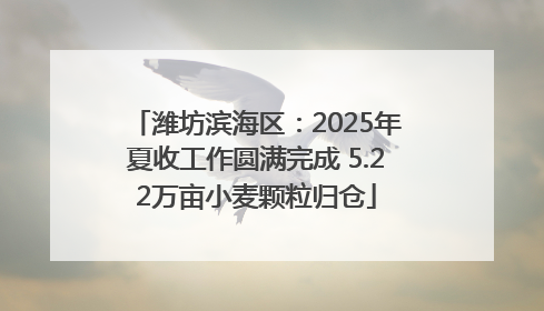 潍坊滨海区：2025年夏收工作圆满完成 5.22万亩小麦颗粒归仓