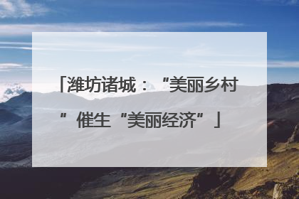潍坊诸城：“美丽乡村”催生“美丽经济”