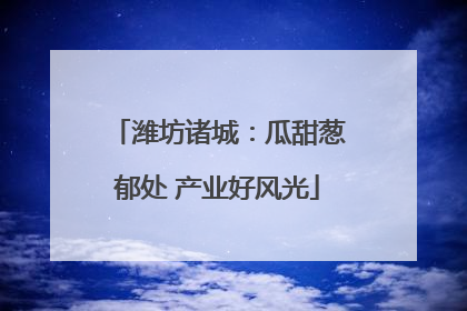 潍坊诸城：瓜甜葱郁处 产业好风光