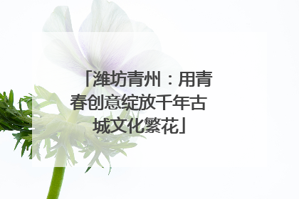 潍坊青州：用青春创意绽放千年古城文化繁花