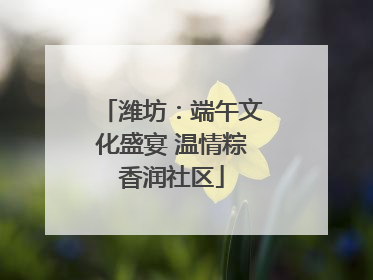 潍坊：端午文化盛宴 温情粽香润社区