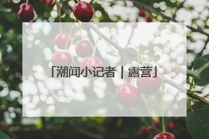潮闻小记者｜露营