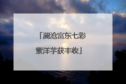 澜沧富东七彩紫洋芋获丰收