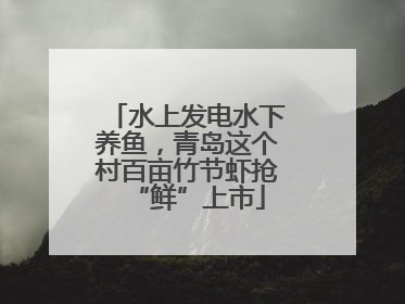水上发电水下养鱼，青岛这个村百亩竹节虾抢“鲜”上市