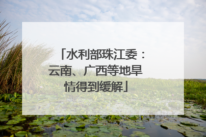 水利部珠江委：云南、广西等地旱情得到缓解