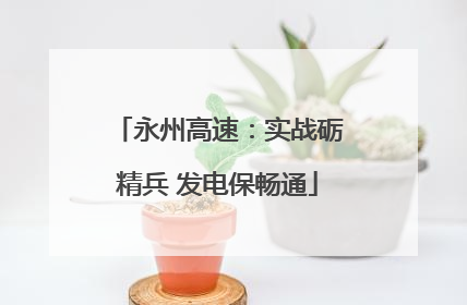 永州高速：实战砺精兵 发电保畅通