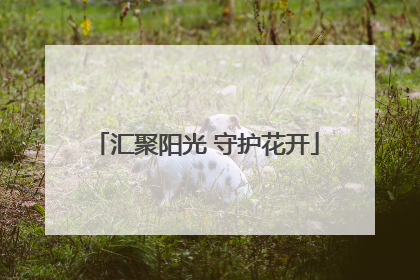 汇聚阳光 守护花开
