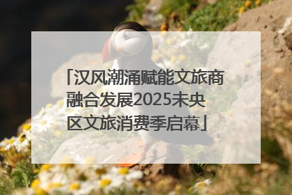 汉风潮涌赋能文旅商融合发展2025未央区文旅消费季启幕