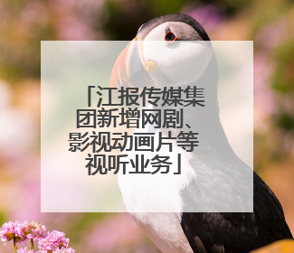 江报传媒集团新增网剧、影视动画片等视听业务