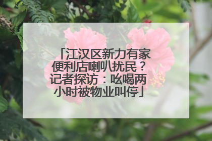 江汉区新力有家便利店喇叭扰民？记者探访：吆喝两小时被物业叫停