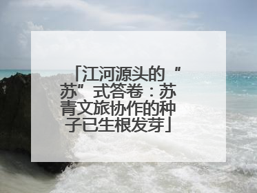 江河源头的“苏”式答卷：苏青文旅协作的种子已生根发芽