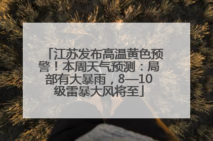 江苏发布高温黄色预警！本周天气预测：局部有大暴雨，8—10级雷暴大风将至