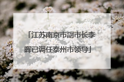 江苏南京市副市长李晖已调任泰州市领导