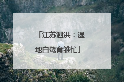 江苏泗洪：湿地白鹭育雏忙