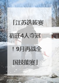 江苏选拔赛宿迁4人夺冠！9月再战全国技能赛