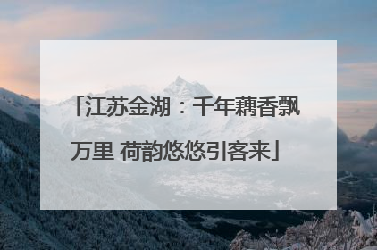 江苏金湖：千年藕香飘万里 荷韵悠悠引客来
