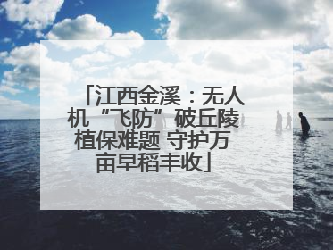 江西金溪：无人机“飞防”破丘陵植保难题 守护万亩早稻丰收