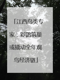 江西鸟类专家：彩鹮筑巢或撬动全年观鸟经济链