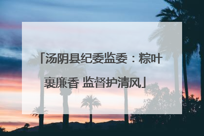 汤阴县纪委监委：粽叶裹廉香 监督护清风