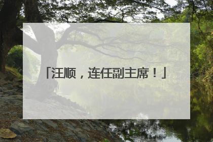 汪顺，连任副主席！