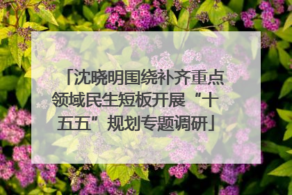 沈晓明围绕补齐重点领域民生短板开展“十五五”规划专题调研
