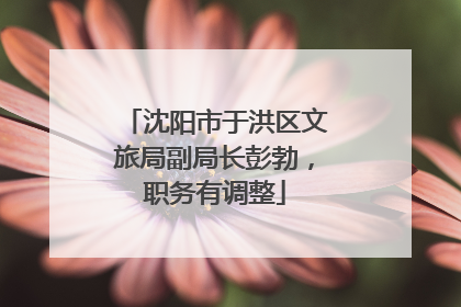 沈阳市于洪区文旅局副局长彭勃，职务有调整