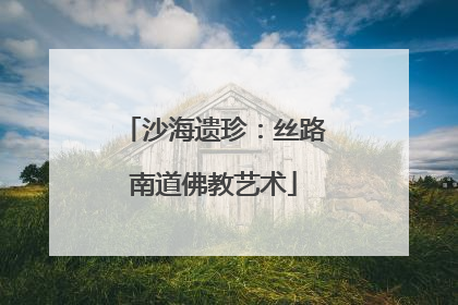 沙海遗珍：丝路南道佛教艺术