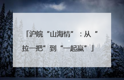 沪皖“山海情”：从“拉一把”到“一起赢”