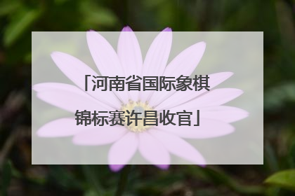 河南省国际象棋锦标赛许昌收官