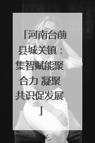 河南台前县城关镇：集智赋能聚合力 凝聚共识促发展