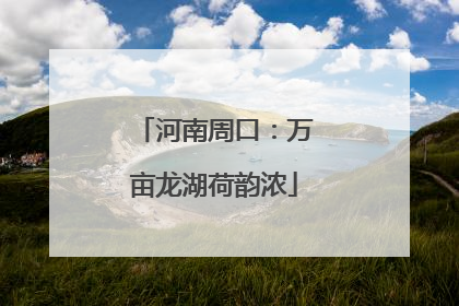 河南周口：万亩龙湖荷韵浓