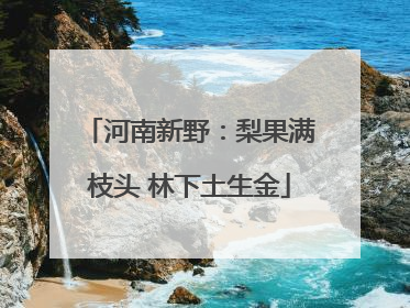 河南新野：梨果满枝头 林下土生金