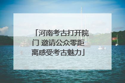 河南考古打开院门 邀请公众零距离感受考古魅力