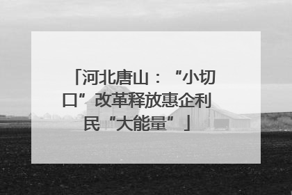 河北唐山：“小切口”改革释放惠企利民“大能量”